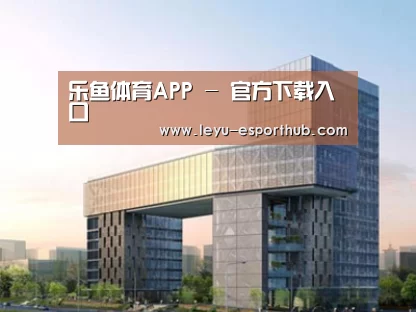 案例展示四