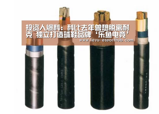 投资人爆料:科比去年曾想脱离耐克 独立打造球鞋品牌‘乐鱼电竞’(图4) 乐鱼体育APP